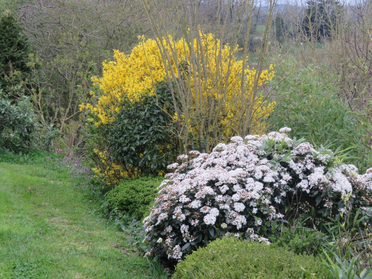 Ecrin De Verdure Sainte-Suzanne  Exteriér fotografie