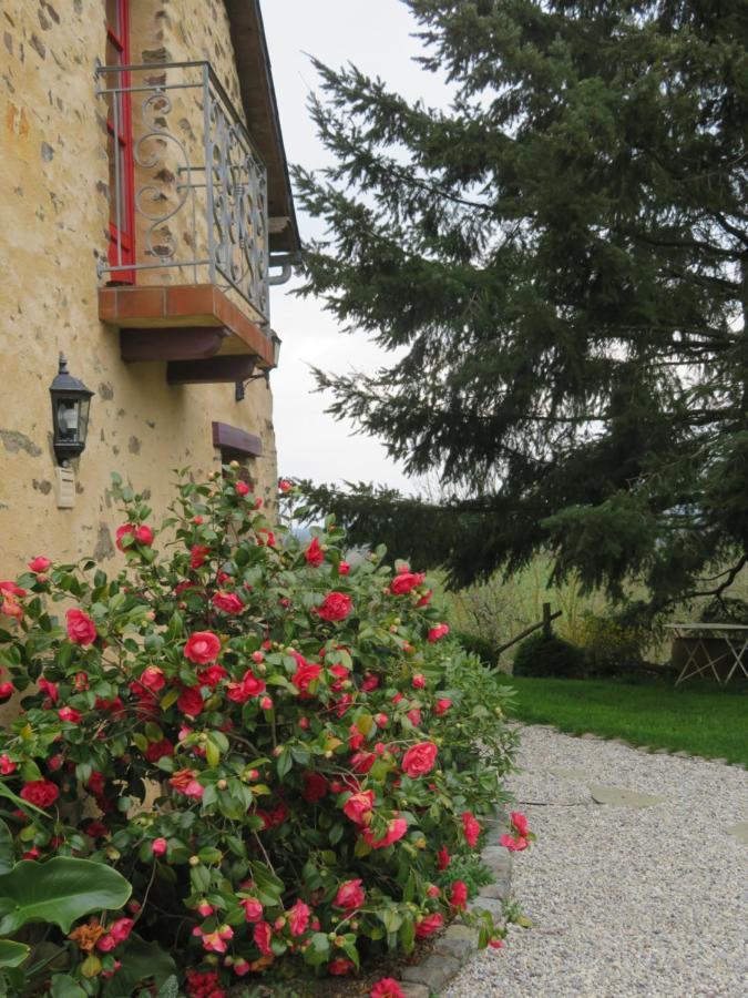 Ecrin De Verdure Sainte-Suzanne  Exteriér fotografie