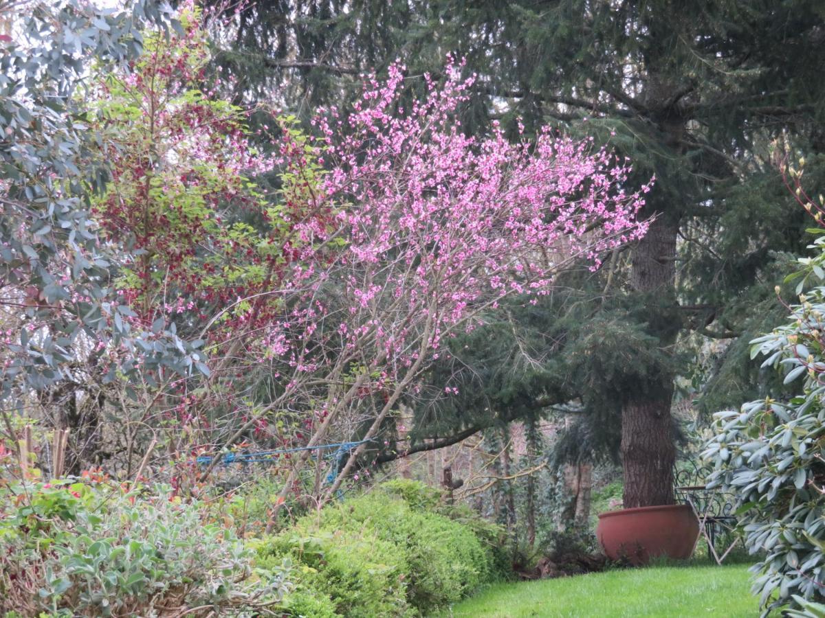 Ecrin De Verdure Sainte-Suzanne  Exteriér fotografie