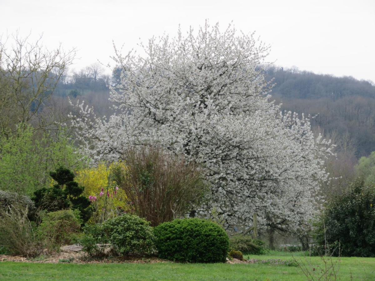 Ecrin De Verdure Sainte-Suzanne  Exteriér fotografie