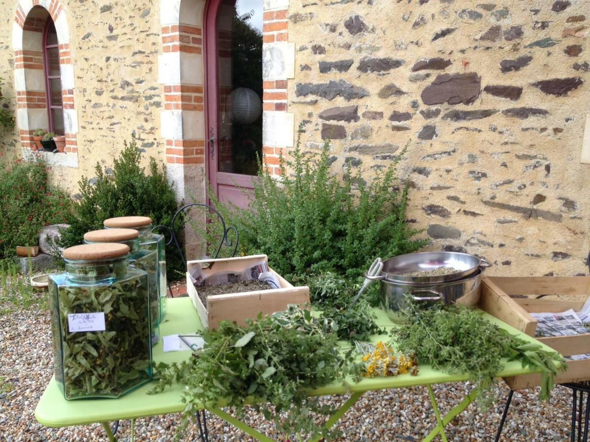 Ecrin De Verdure Sainte-Suzanne  Exteriér fotografie